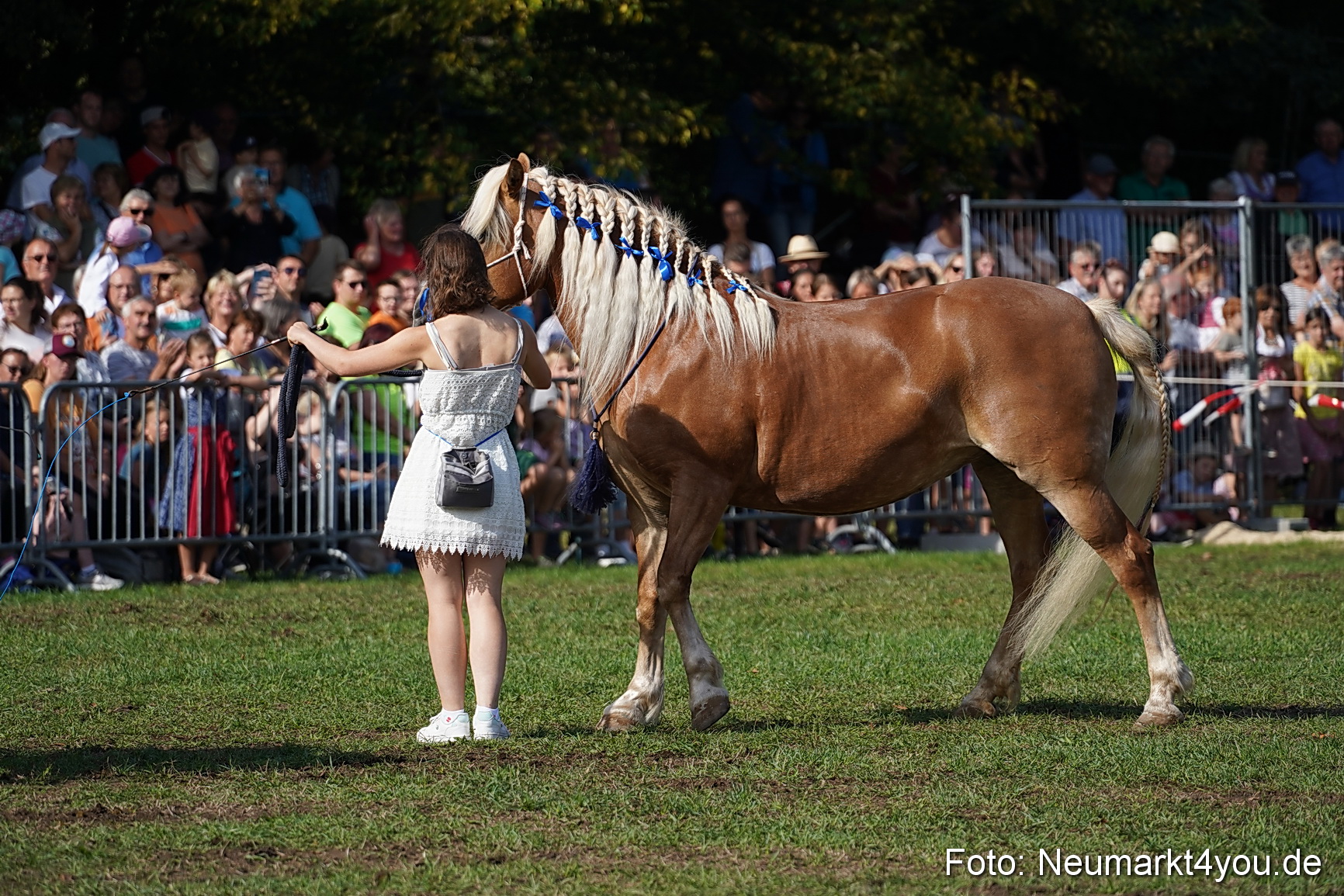 Pferde und Fohlenschau 2022 0144 